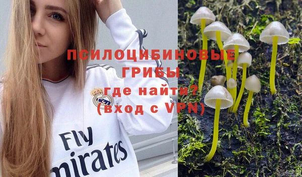 СК Алзамай