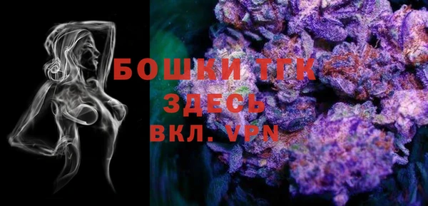 дмт Няндома