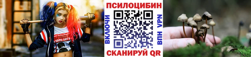 цена наркотик Цивильск Галлюциногенные грибы ЛСД